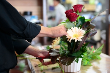 熊本県宇土市の花屋 花のあすかにフラワーギフトはお任せください 当店は 安心と信頼の花キューピット加盟店です 花キューピットタウン